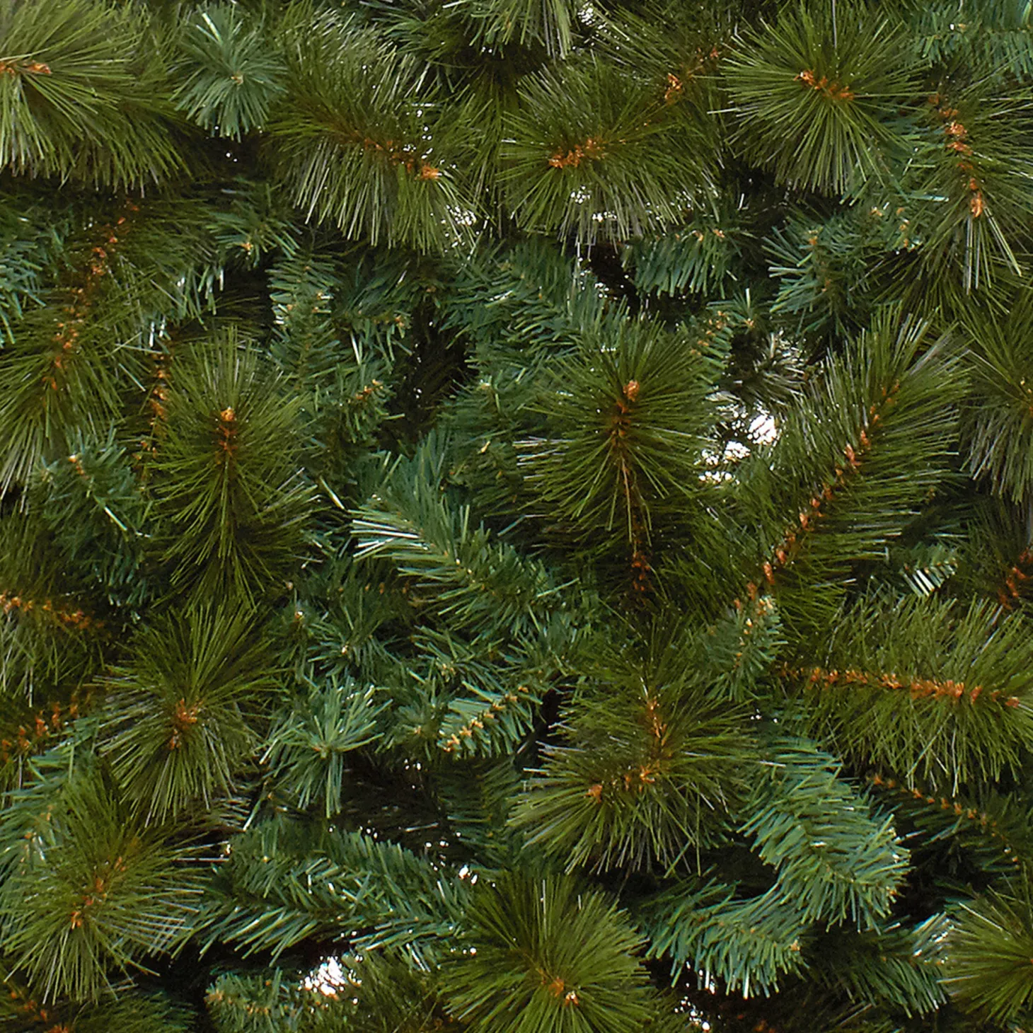 Albero di Natale Polo Sud H 210cm