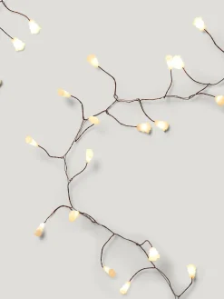 Filo luce pino 180 m